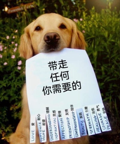 简介