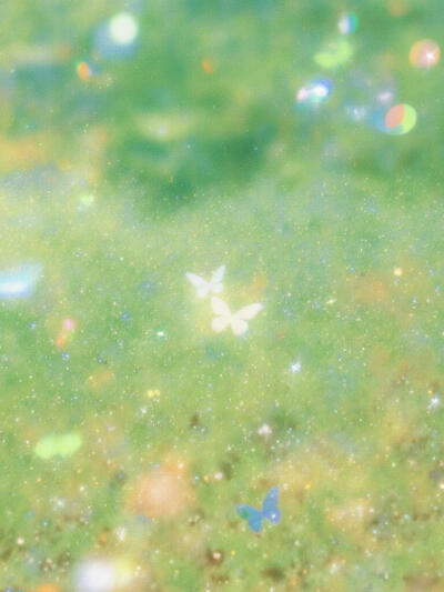 梦幻蝴蝶