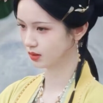 小狗宝