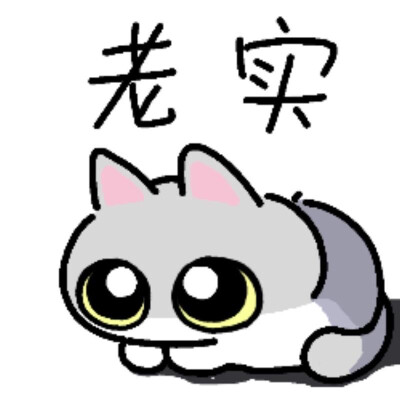 猫咪表情包可爱动漫生气害怕哭泣老实爱你