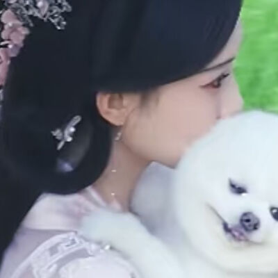 投胎错为狗