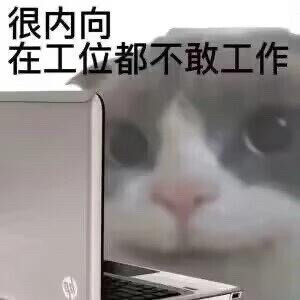 打工人表情包可爱猫咪企鹅抽象