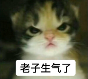 拜倒喵