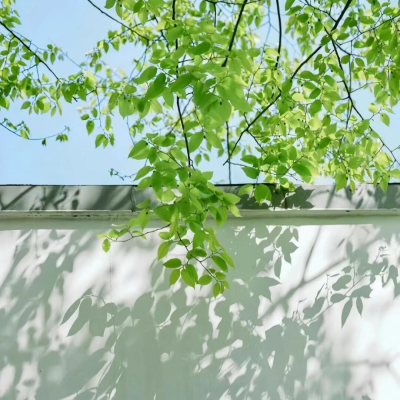 背景图