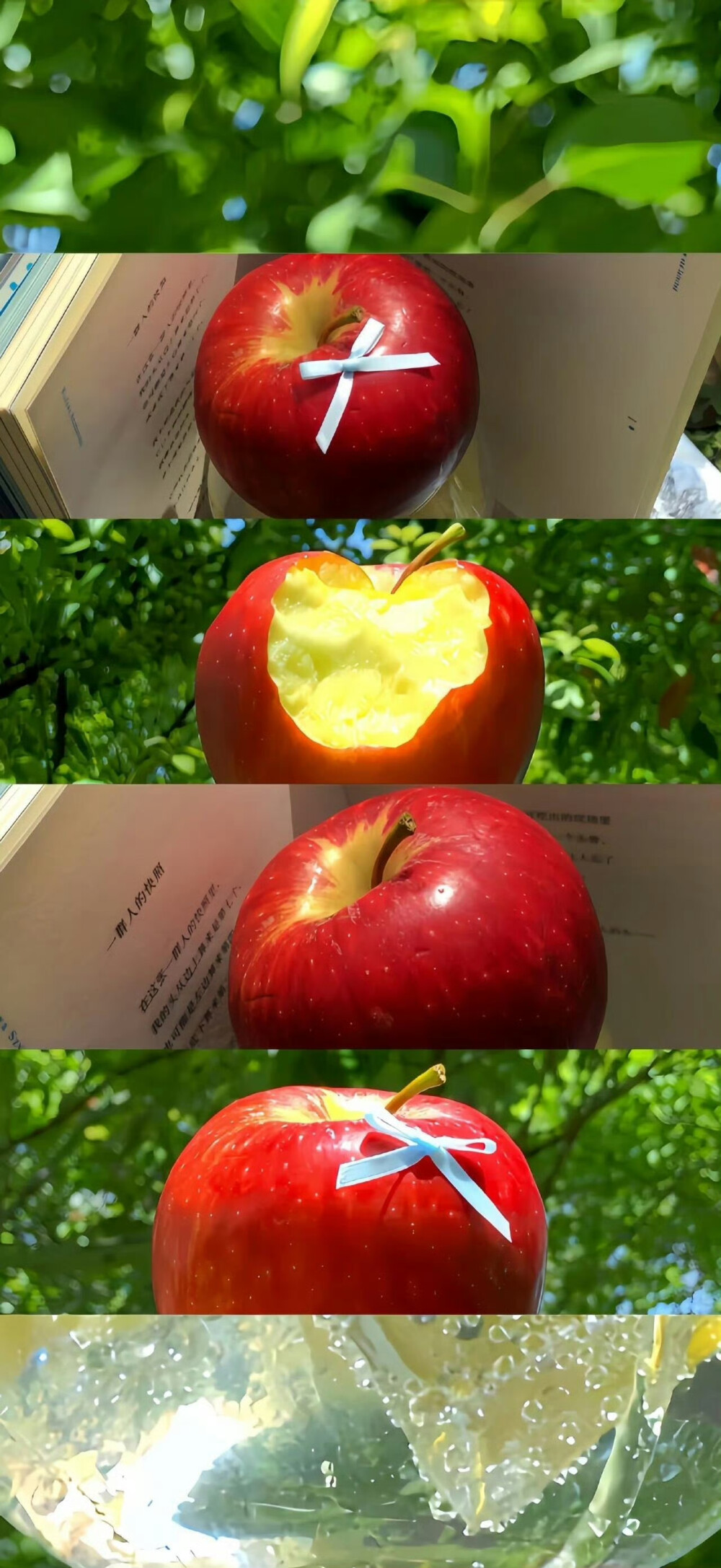 小清新拼接壁纸
#小清新壁纸#