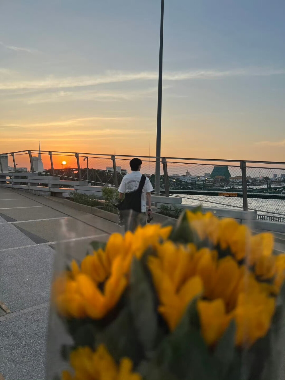 剧中未曾送出的向日葵，终在现实里送出
《暮色》 