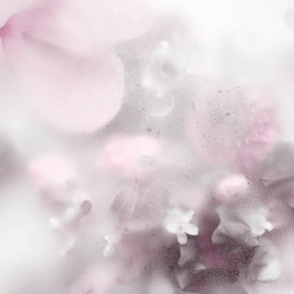 膜拜女神大人 大人千岁千岁千千岁