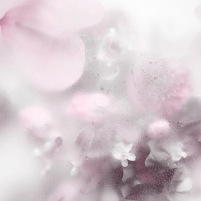 膜拜女神大人 大人千岁千岁千千岁