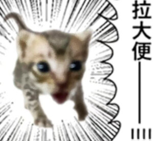 拜倒喵