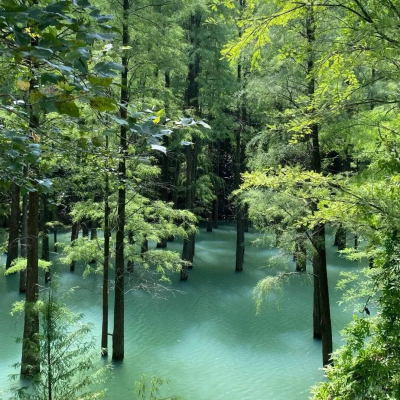 背景图