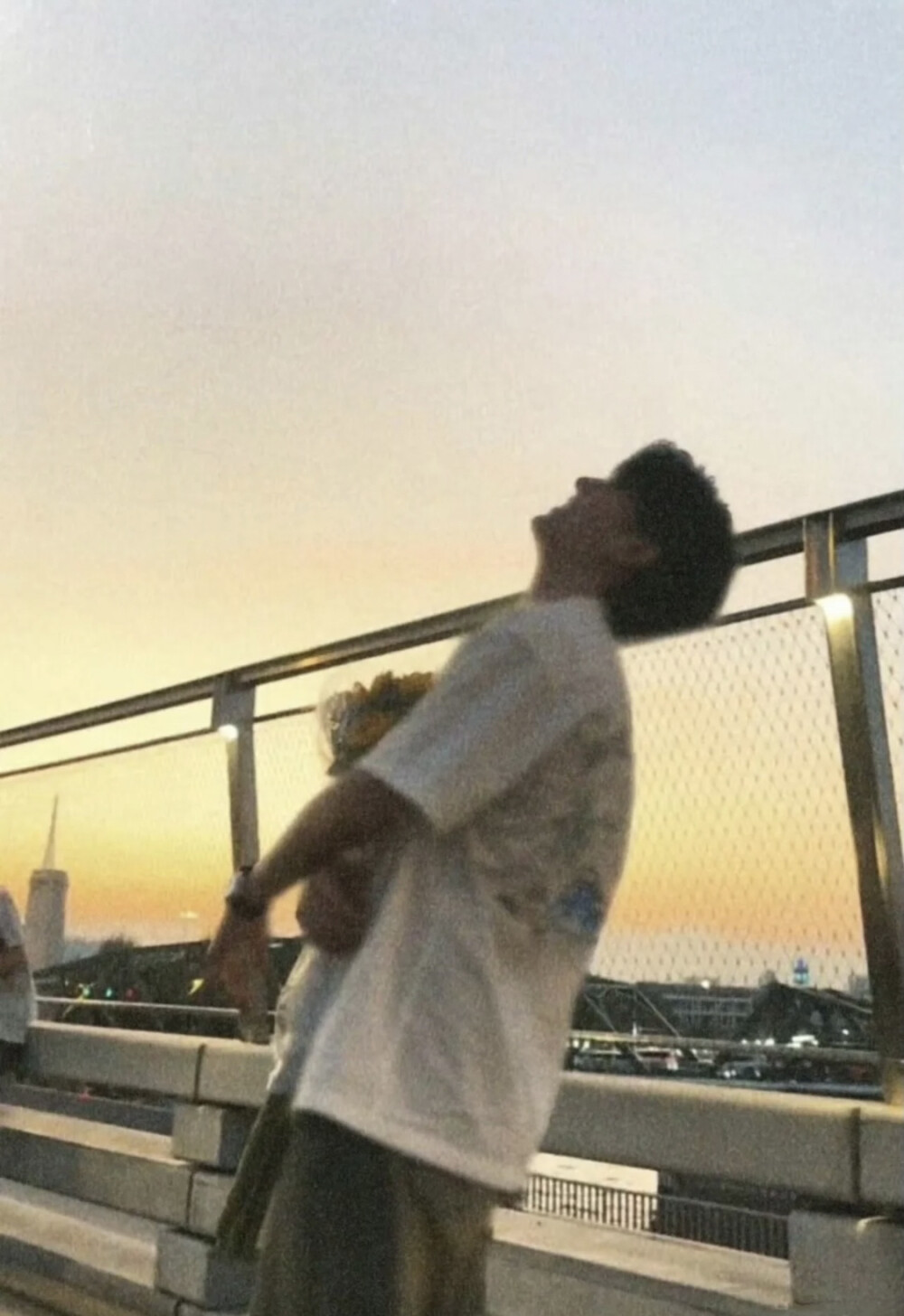 剧中未曾送出的向日葵，终在现实里送出
《暮色》 