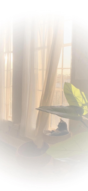 手机壁纸背景图