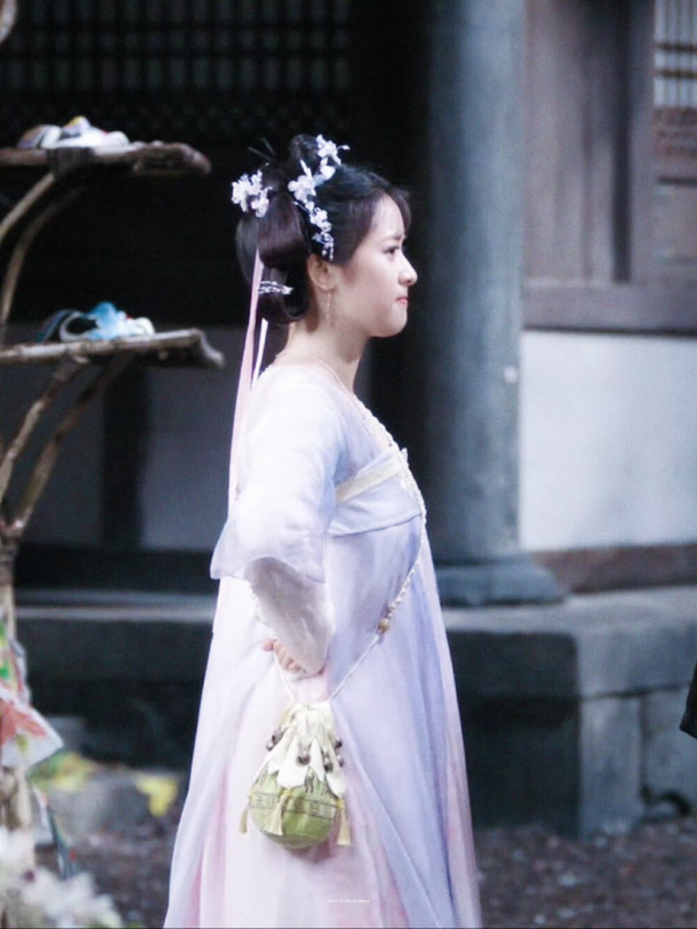 *淮水竹亭 东方秦兰 ​​​