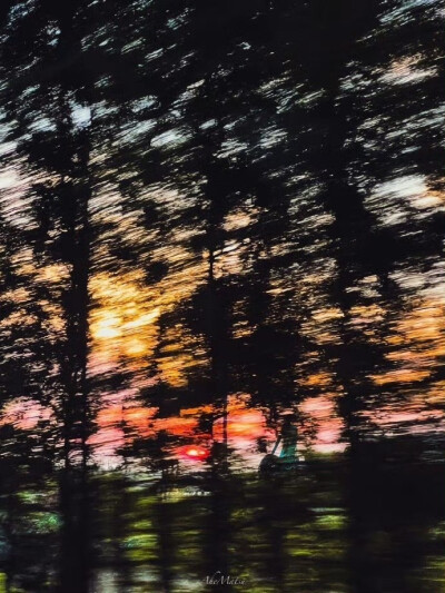 风景