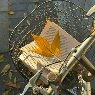 背景图