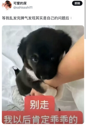 泪水腐蚀情痛心