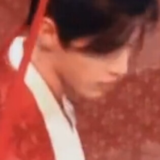 太子殿下今日大婚