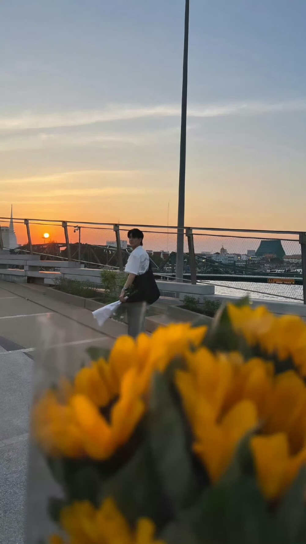 剧中未曾送出的向日葵，终在现实里送出
《暮色》 