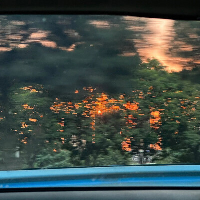 风景