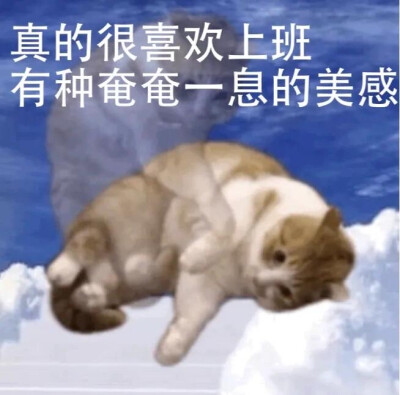 打工人表情包可爱猫咪企鹅抽象