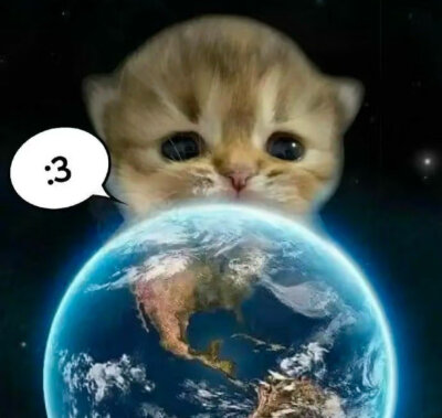 拜倒喵