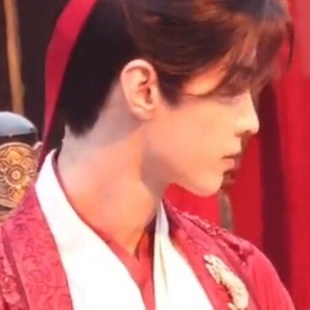 太子殿下今日大婚