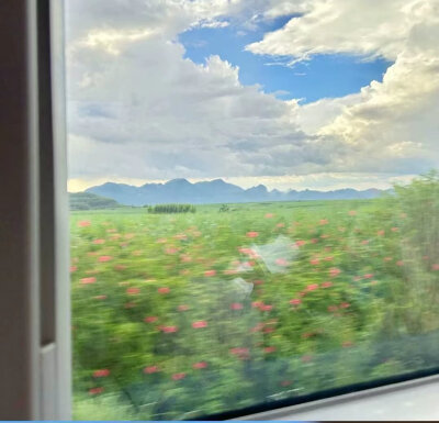 背景图^•͈༝•^ฅ