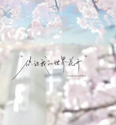 背景图^•͈༝•^ฅ