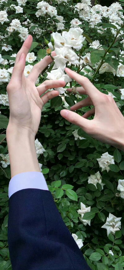 小清新壁纸分享.ᐟ.ᐟ