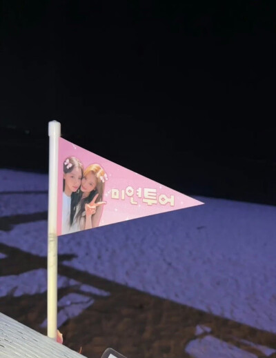 凑崎纱夏 赵美延