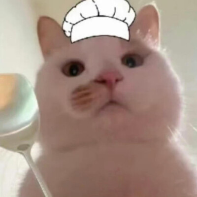 小可爱们