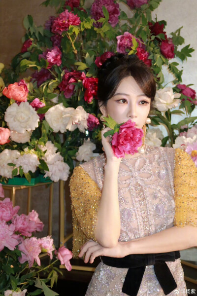 杨紫