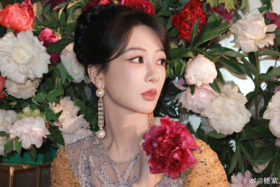 杨紫