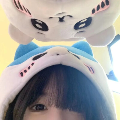 壁纸