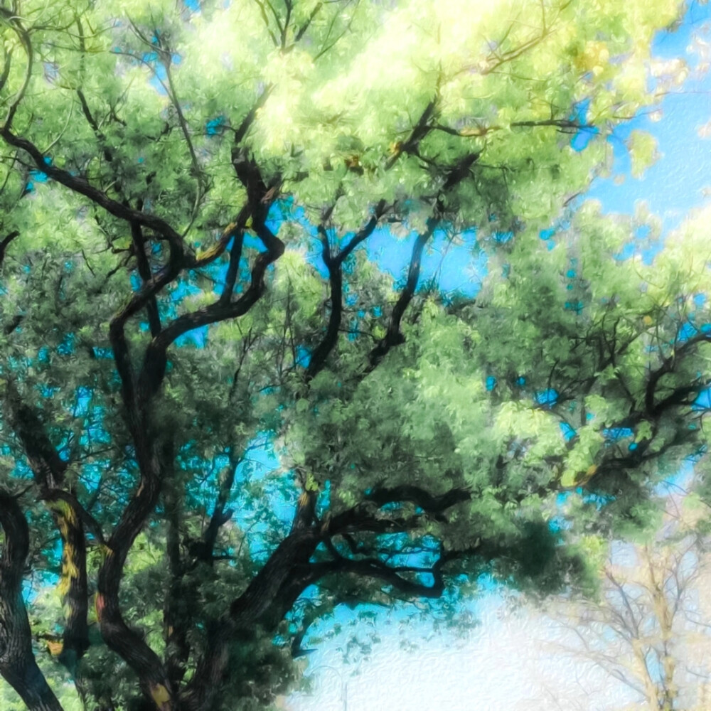 春日氧气感扑面而来