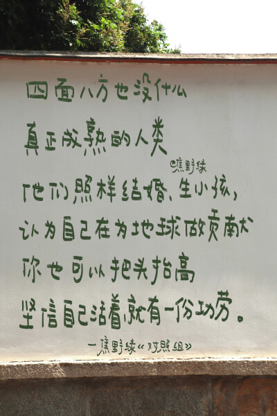 文字/
朋友圈背景图/
cr.@焦野绿在写诗