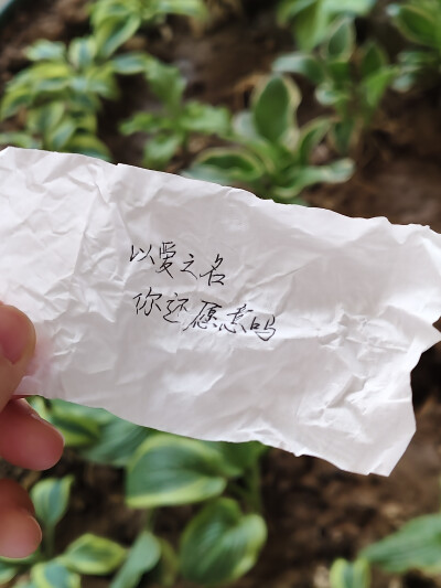 手写背景图