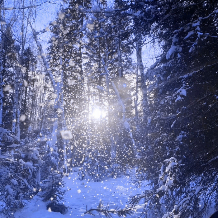 配图你放过我吧