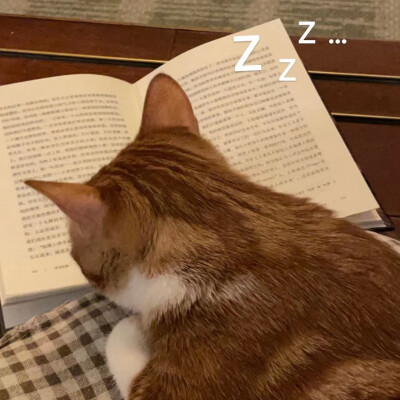 图源xhs@包包大小姐驾到