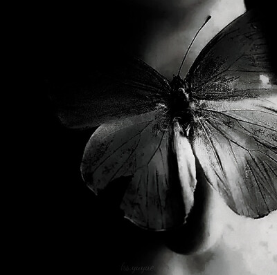 <Ubicius>...！無限追踪ㄨ代号J-001