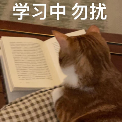 图源xhs@包包大小姐驾到