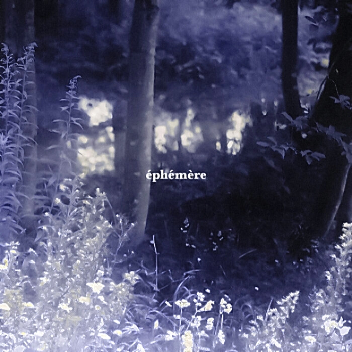 '' デイジーです_永不黯淡的星 ''