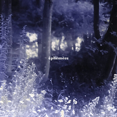 '' デイジーです_永不黯淡的星 ''