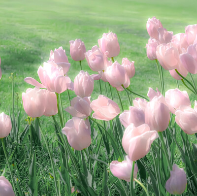 春日氧气感扑面而来