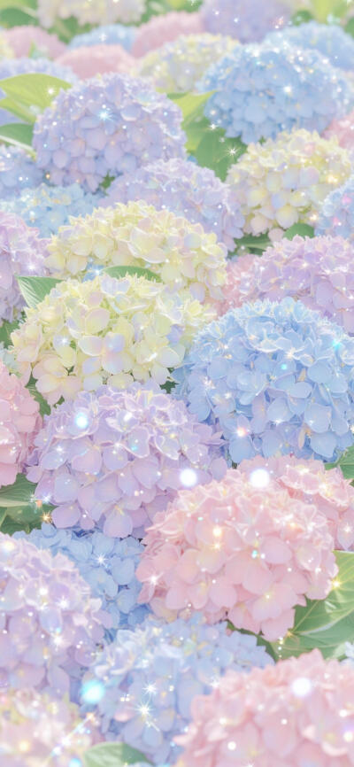 绣球花手机壁纸