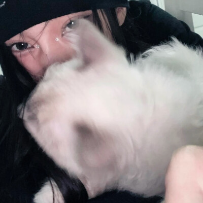 ˖⁩ ♡︎