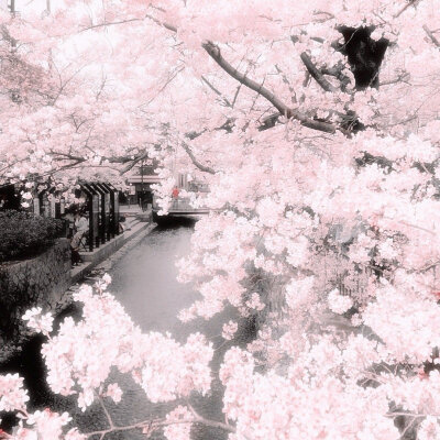 背景图