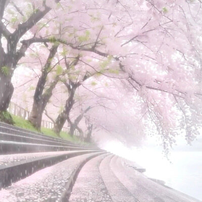 背景图