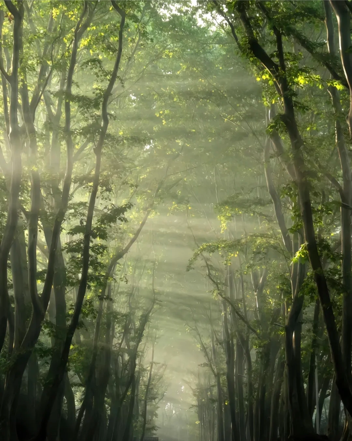 丁达尔光背景图 光的背景图