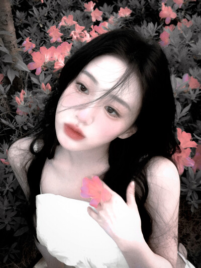· 烟花碎片散落在盛夏的尽头